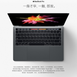 (Apple/苹果)13 英寸：MacBook Pro Multi-Touch Bar 和 Touch ID 2.9GHz 处理器 256GB 存储容量（颜色随机）